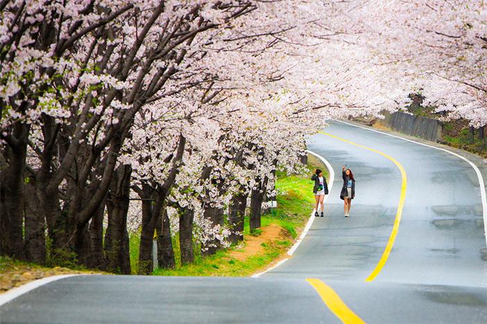 30 hình ảnh Hàn Quốc đẹp nhất qua các mùa